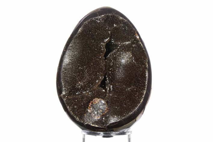 Septarian Dragon Egg Geode - Sparkly Black Crystals #383838
